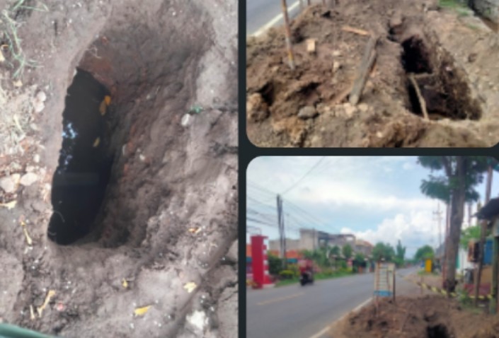 Screenshot_2025_1105_165649