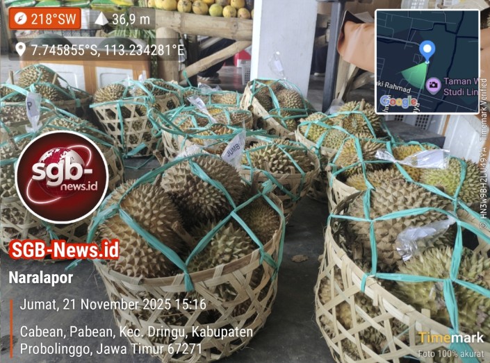 Screenshot_2025_1123_153401