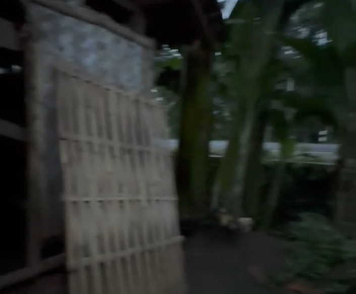 Screenshot_2025_1124_202132