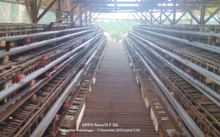 Screenshot_2025_1217_113556