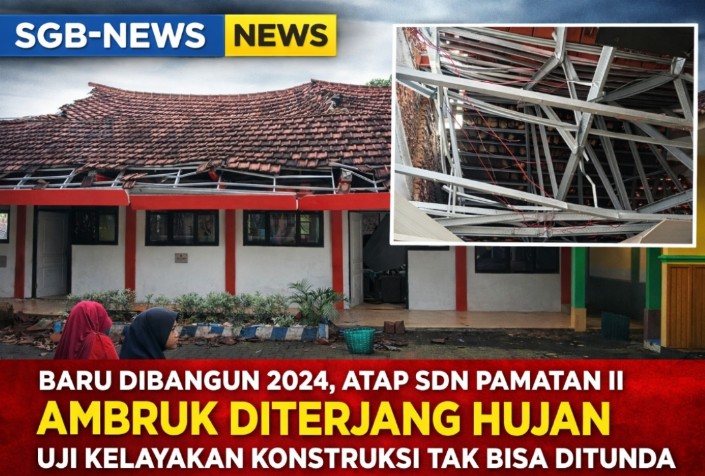 Screenshot_2026_0215_203446