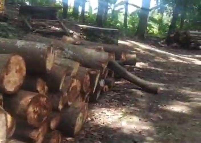 Screenshot_2026_0315_193149