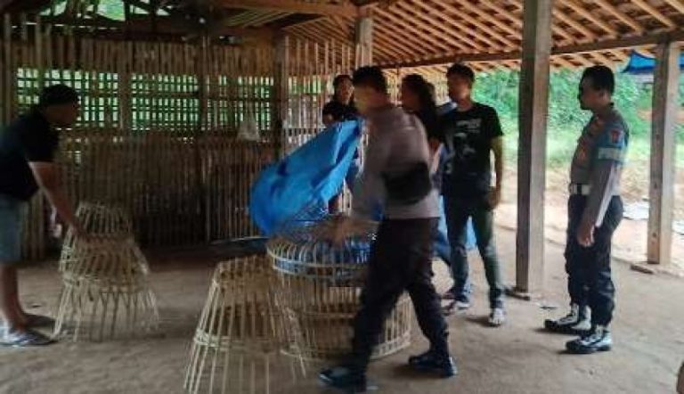 site_1_image_870x_69dc7dff950c7