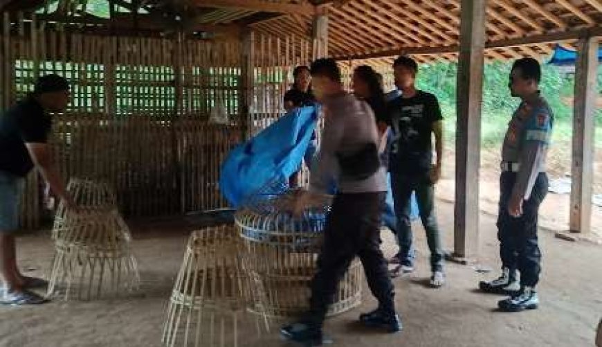 site_1_image_870x_69dc7dff950c7