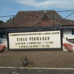 Kadis Irit Bicara, Pengadaan Bubu Rp59 Juta Dinas Perikanan Lumajang Jadi Sorotan Publik
